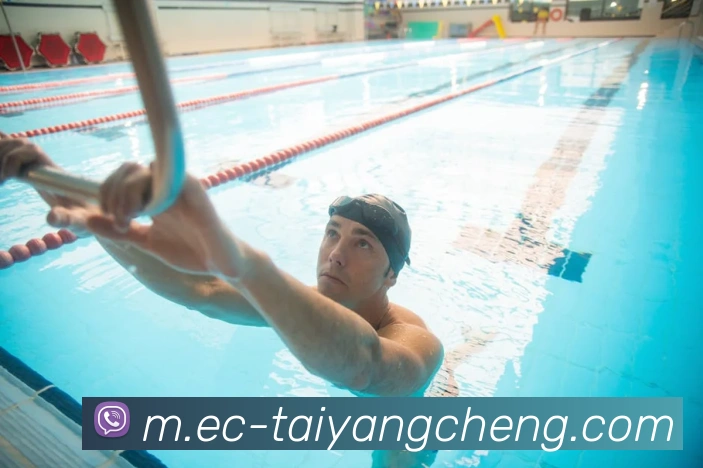 澳门太阳城网站平台生态图